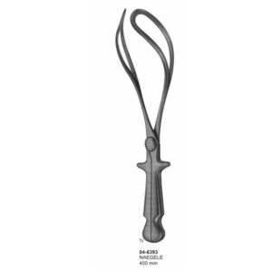 Naegele Obstetrics 400 mm
